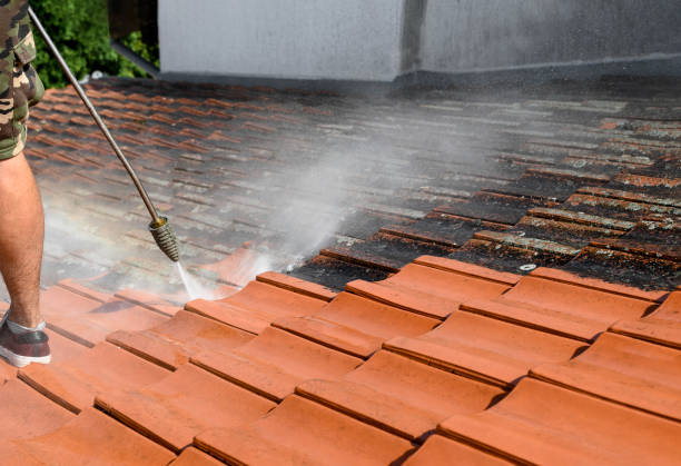 Why Choose Our Certified Pressure Washing Experts for Your Project Needs in Newnan, GA?
